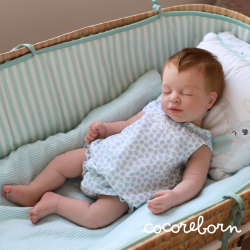 Gali Dreams Castaño Claro Niño