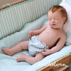 Gali Dreams Castaño Claro Niño