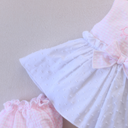 Vichy Pink Dress and Panties