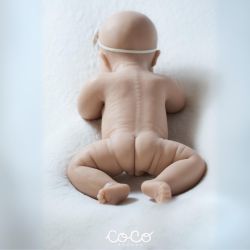 Alma Dreams sin pintar